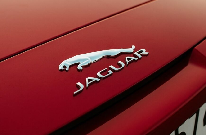 qushvolpix features and usage